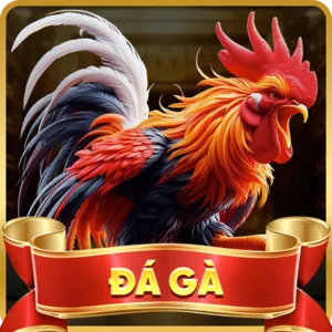 Trò chơi video slot chủ đề phiêu lưu, săn tìm kho báu