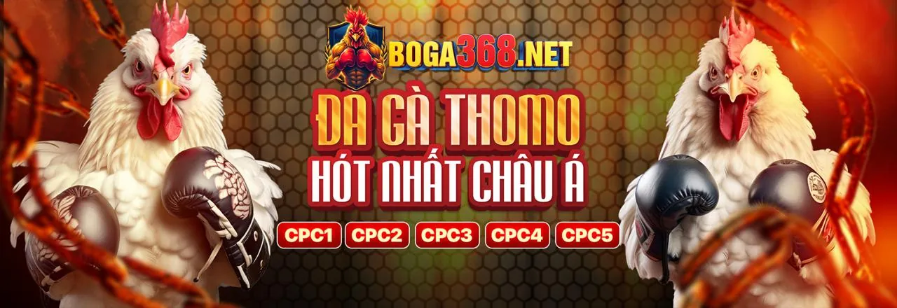 Đá gà 88clup: Chọn nền tảng tốt nhất